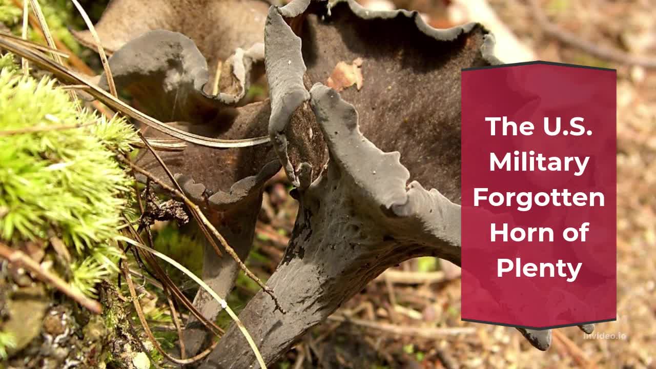 The U.S Military’s Forgotten Horn of Plenty 2023