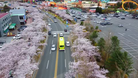 Beautiful, quiet city with smooth traffic