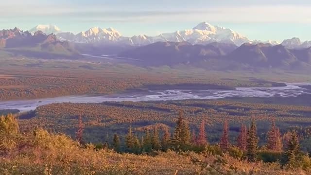 the North American Continent🏔🌲