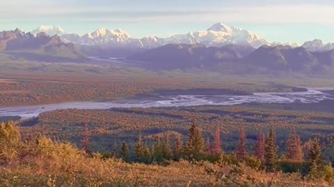 the North American Continent🏔🌲
