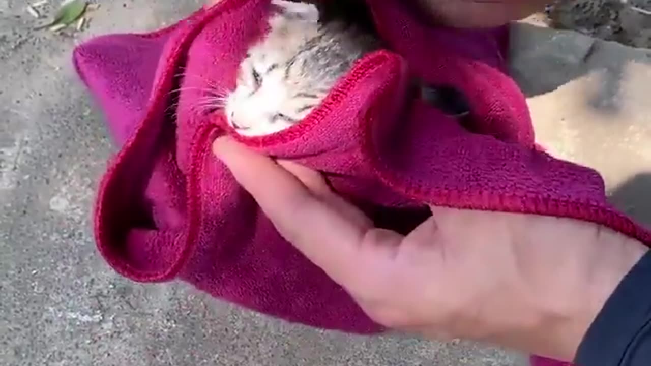 It Was A Cry Of Pain, A Desperate Plea For Help