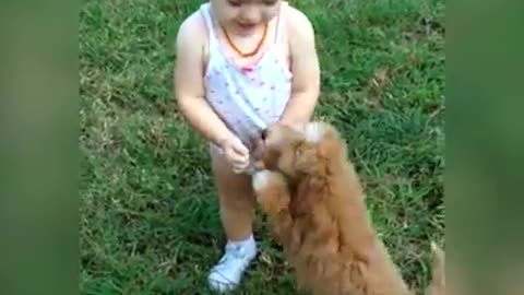 baby & dog