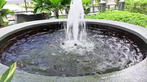 MY VIDEO RECORDING