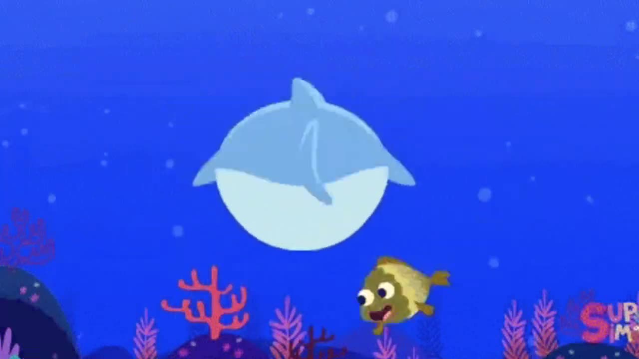 baby shark
