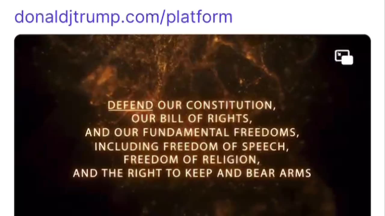 Trumps 20 Promises to America