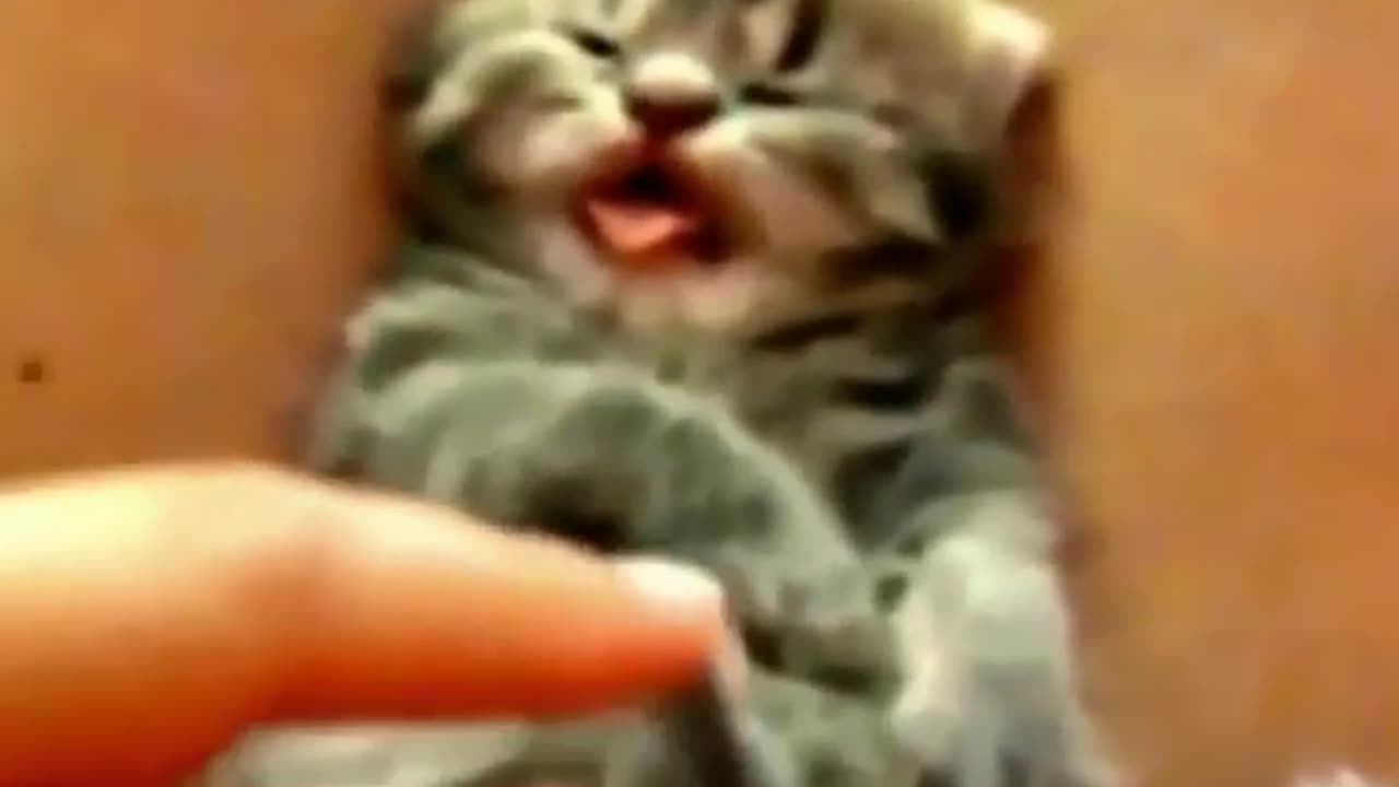 hehehe