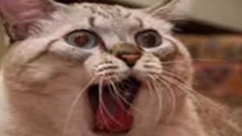 There's The Internet And There's Reality