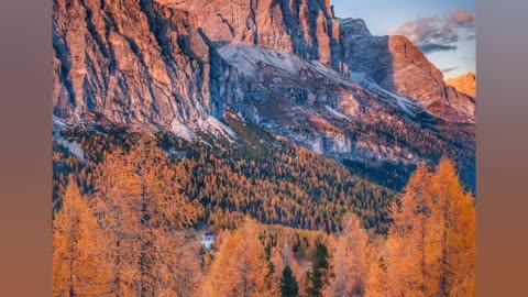 Nature Gives Good Love
