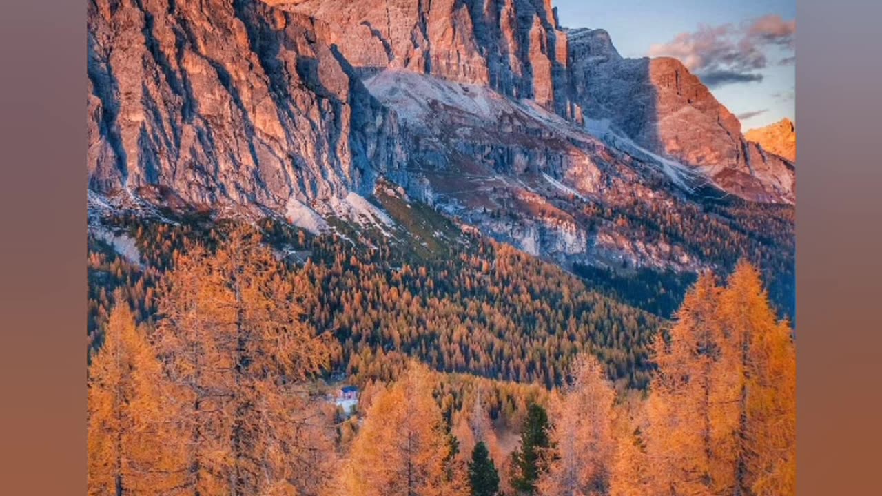 Nature Gives Good Love