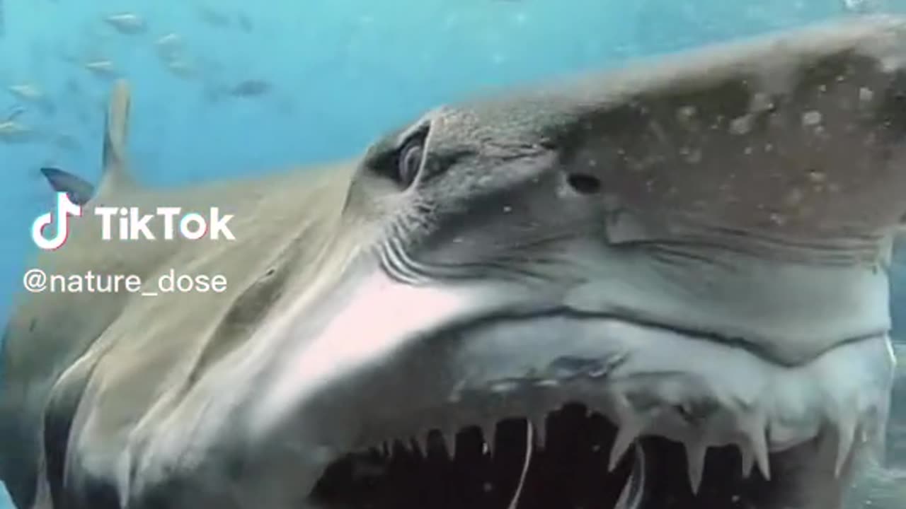 Under Sea,