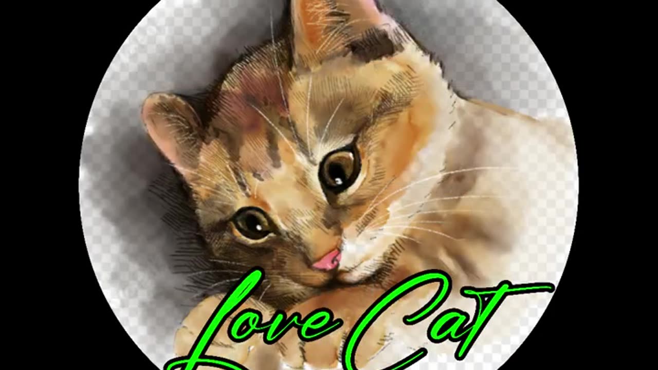 KUCING LUCU. Baby Cats - Cute and Funny Cat Videos Compilation #1
