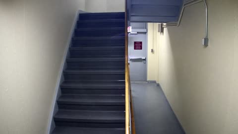 3865FHOB01Stair10_2021-01-05_05h20min00s433ms.mp4