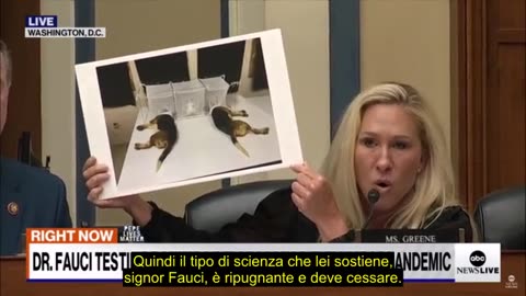 Marjorie Taylor Greene ha mostrato a Fauci le immagini dei brutti esperimenti di tortura sui cani