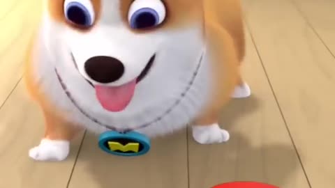 #cute #funny