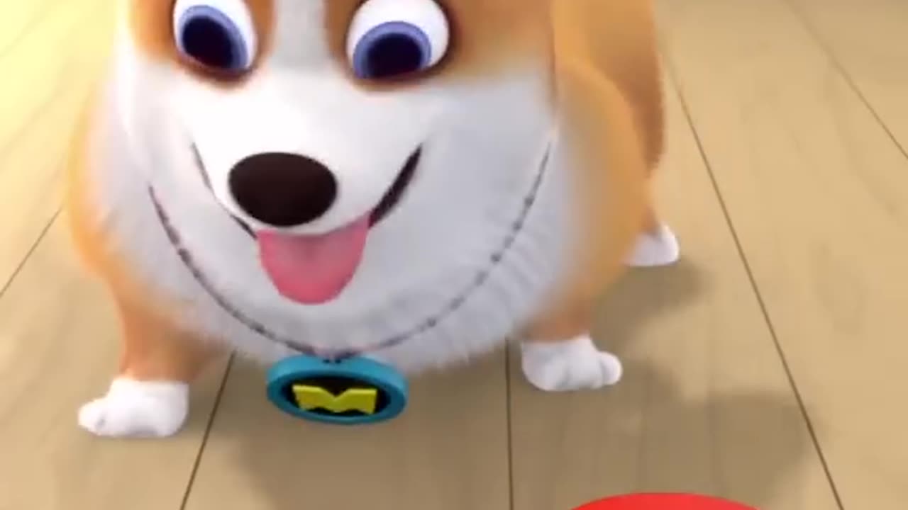 #cute #funny