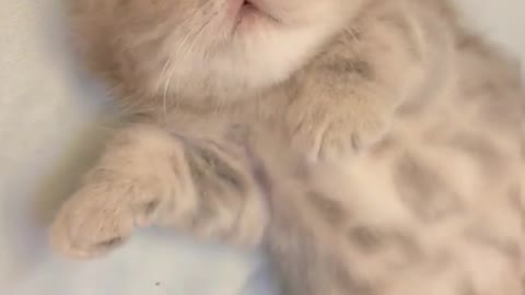 Sleep