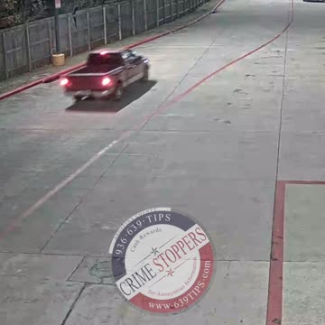 Lowe's Trailer Thieves
