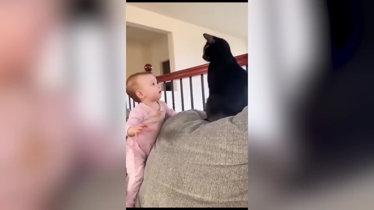 Funny Animals Part2