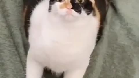 what was she seeing that i didn't ?