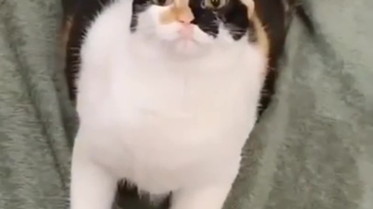 what was she seeing that i didn't ?