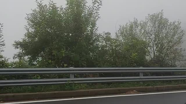 Fog in the mountains