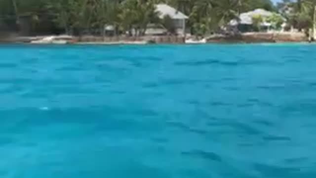 What freedom looks like