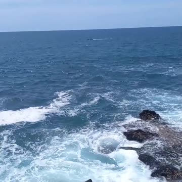 Tranquility by the Sea: A Serene Coastal Escape