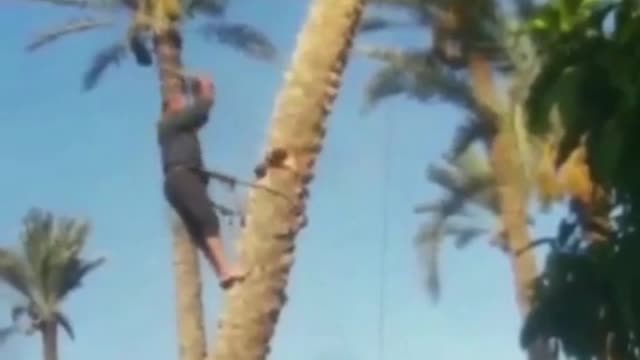 Thought he was gonna get flung 😠(ht alejandroamaral20ig) #funnyfail #dangerousjob #shoutoutot