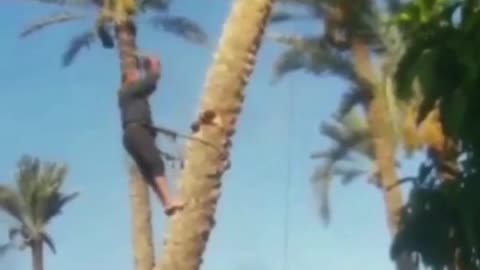 Thought he was gonna get flung 😭 (ht alejandroamaral20ig) #funnyfail #dangerousjob #shoutoutot