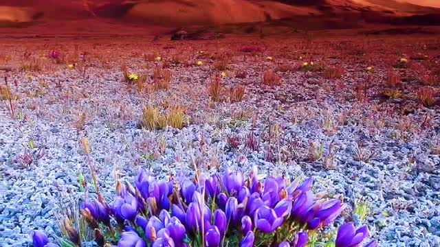 The scenery is more beautiful than the picture, you have been to several places.