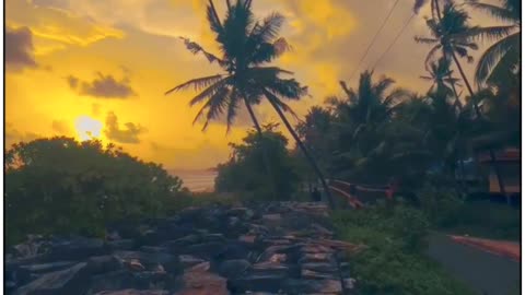 Cloudy & Trees View Beautiful View