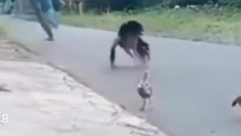 If u did not laugh u need an oscar🤣