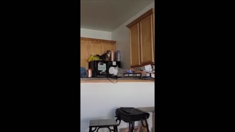 UNUSUAL MEMES COMPILATION