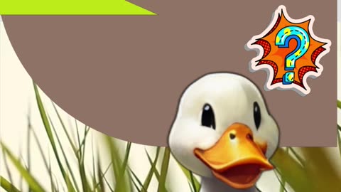 Cute New Funniest Animals Jokes Videos 2024 55.