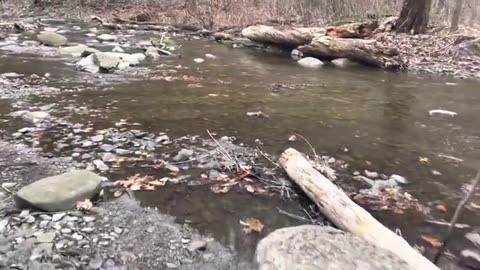 More water contamination in East Palestine Ohio