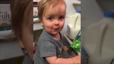 Funny baby video: What Happens When Baby Opens The Fridge