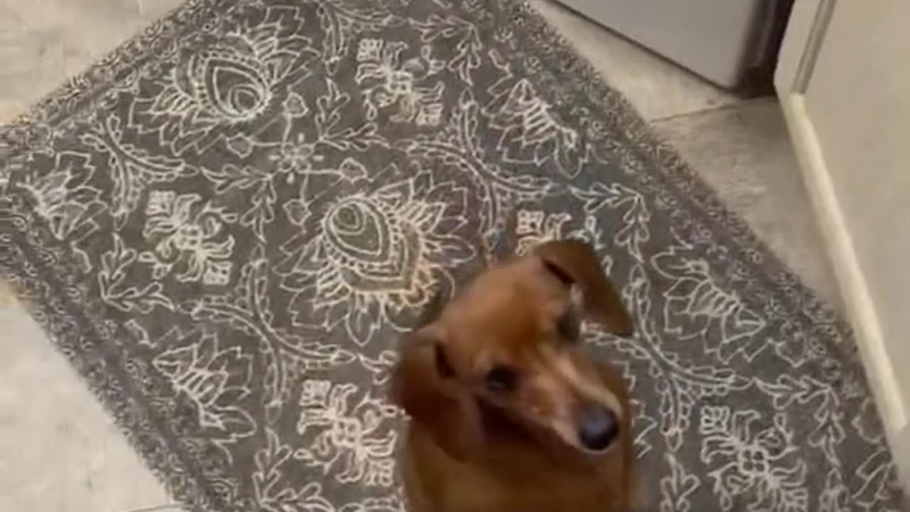 WTF