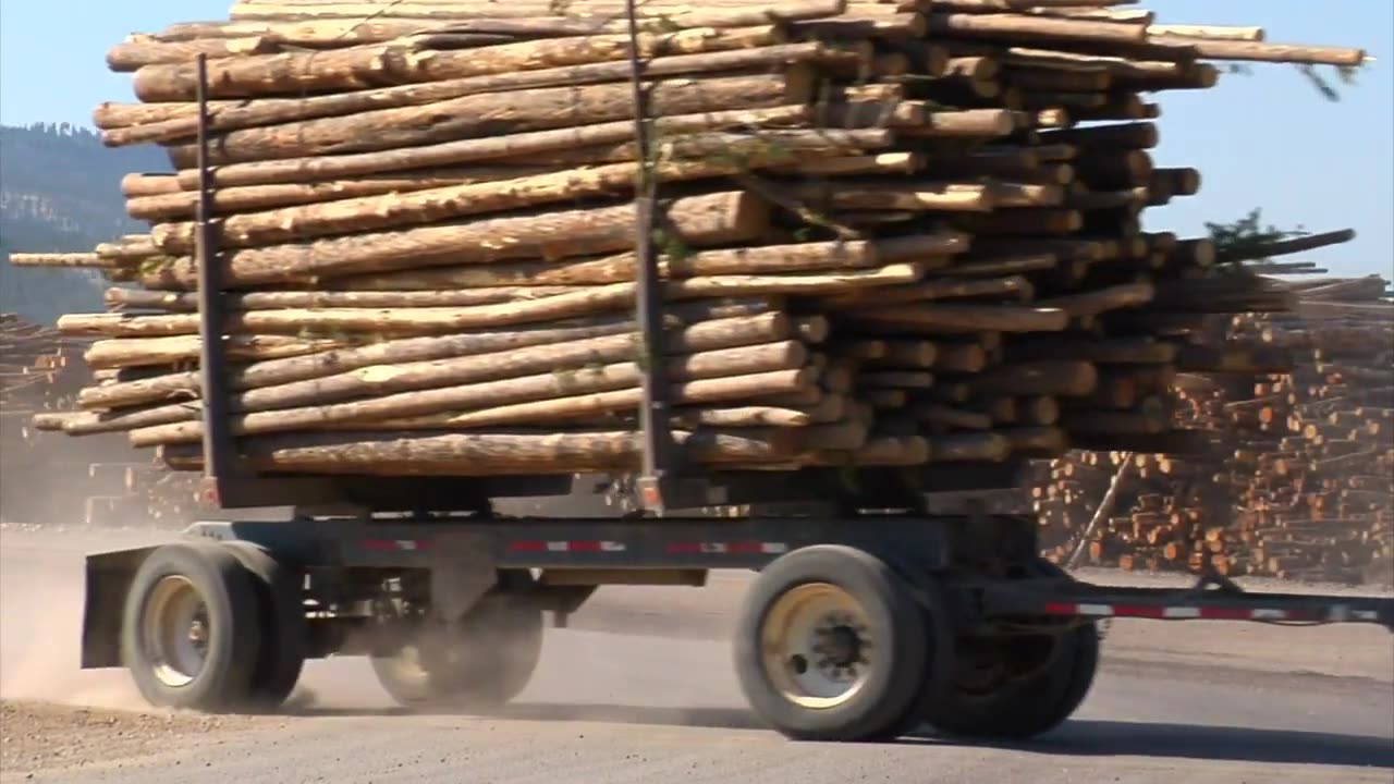 Heavy Loaded Truck with Woods