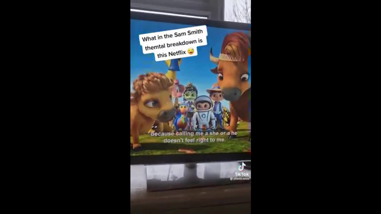 Netflix Indoctrination