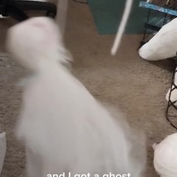 Making use of that yucky tulle crap. Upcycling