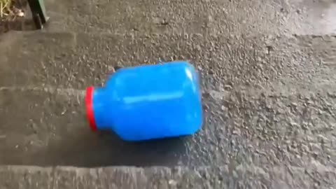 Barking bottles ASMR