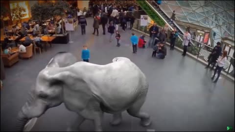 Hologram Shown