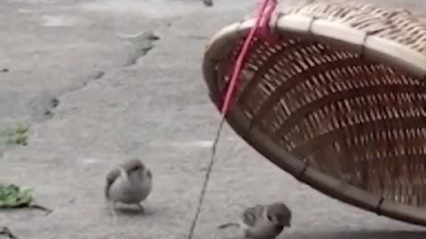 He sacrifices his life for love and takes risks