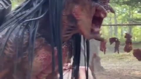 Behind the Scenes of Predator Sequel Prey