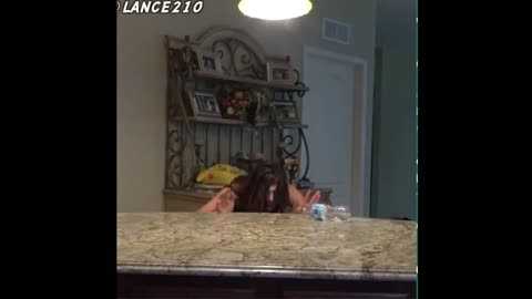 Funny Videos