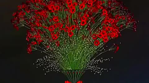 Flowers 🌹 life