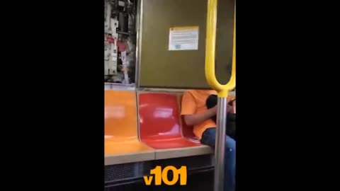 the funniest collection of videos compilation