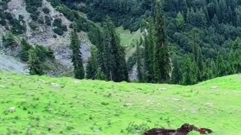 Beauty of Pakistan