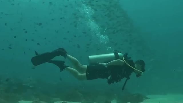 Diving once in the morning
