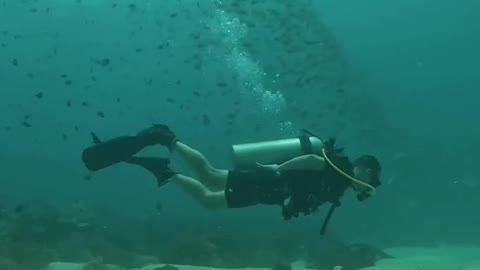 Diving once in the morning